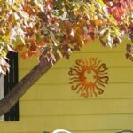 Wacky Solar Moon Metal Wall Art