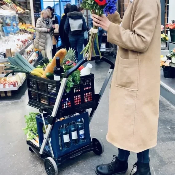 🔥Clearance Price RM26.69🔥Multipurpose Folding Cart😍